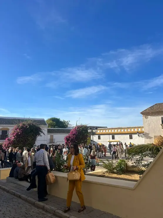 img-20251111-wa0088_resultado