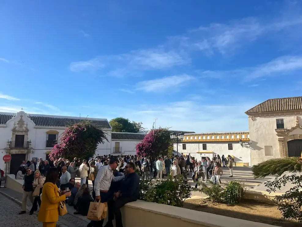 img-20251111-wa0090_resultado