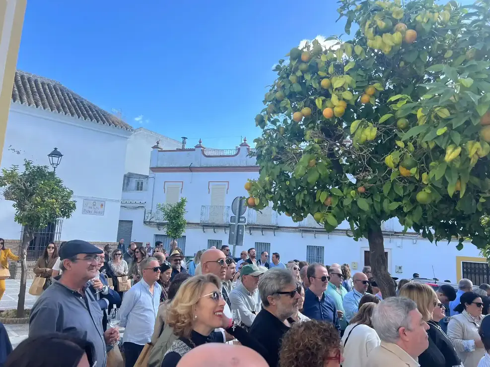 img-20251111-wa0103_resultado