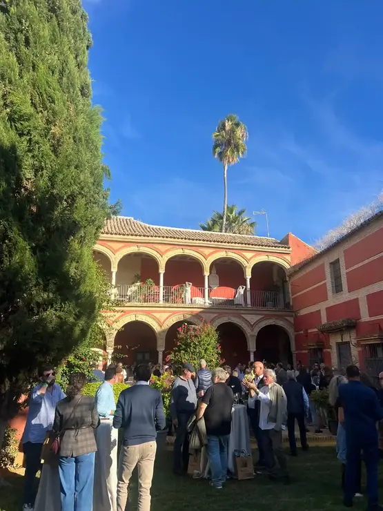 img-20251111-wa0107_resultado