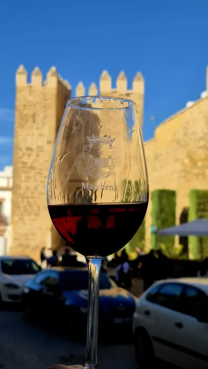 img-20251111-wa0118_resultado