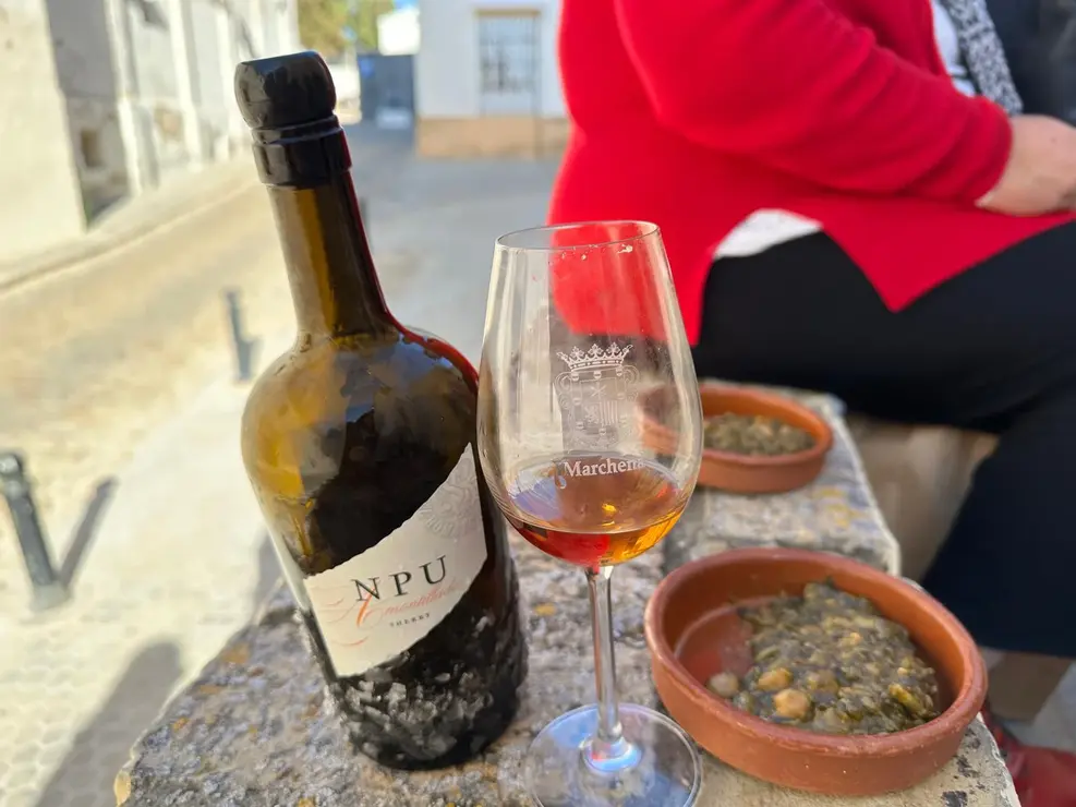 img-20251111-wa0124_resultado