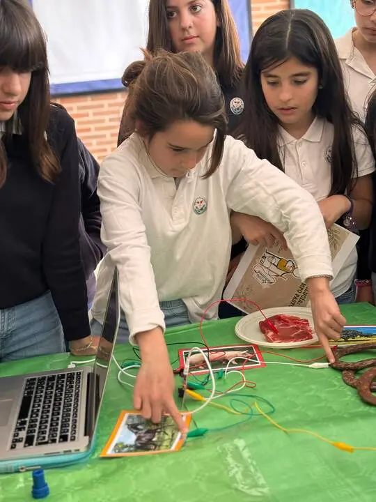 D&iacute;a_Andaluc&iacute;a (6)