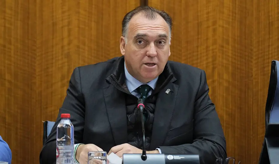 El consejero de Turismo, Arturo Bernal, durante la comisión parlamentaria