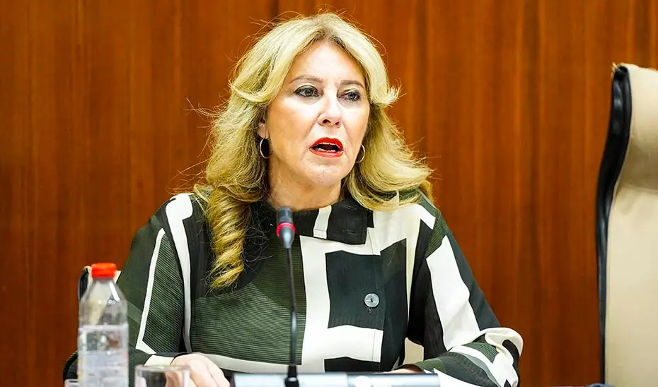 La consejera de Economía, Carolina España, interviene durante la comisión parlamentaria
