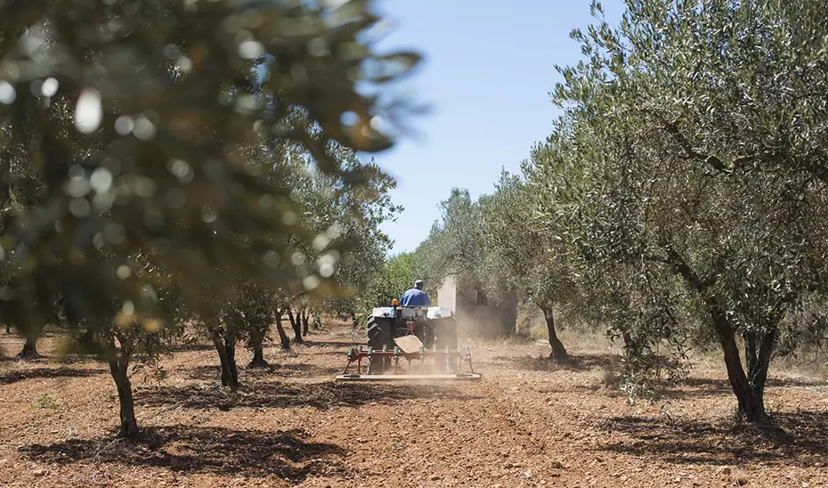 Tractor