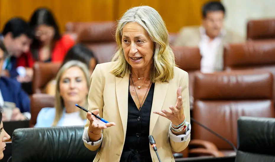 La consejera de Salud, Rocío Hernández, interviene durante la sesión plenaria del Parlamento