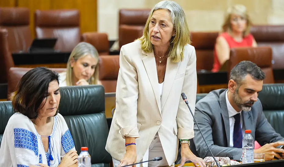 Rocío Hernández, en una imagen de archivo, interviene desde su escaño en el Pleno del Parlamento andaluz
