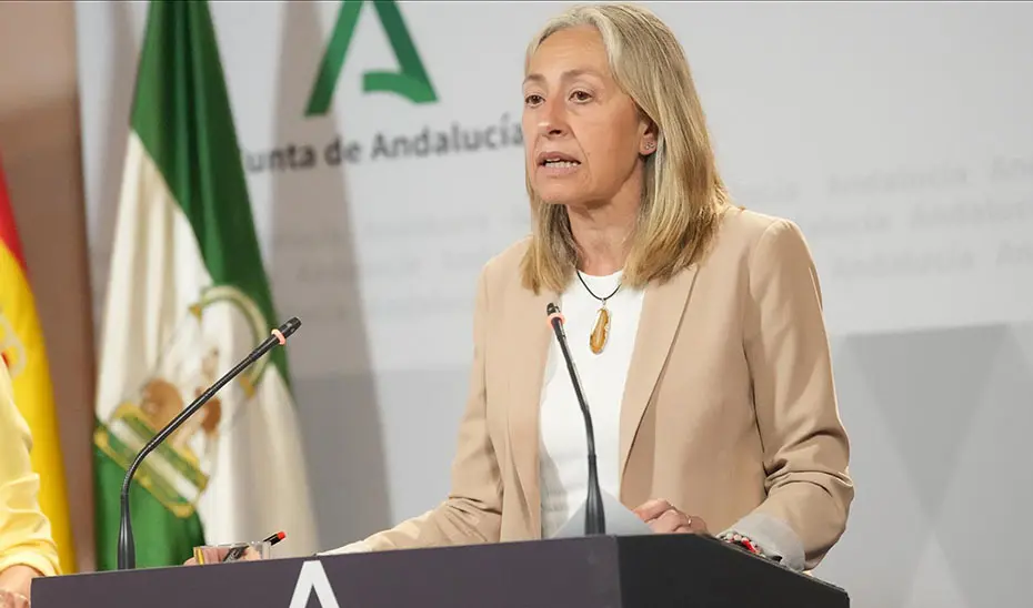La consejera de Salud y Consumo, Rocío Hernández