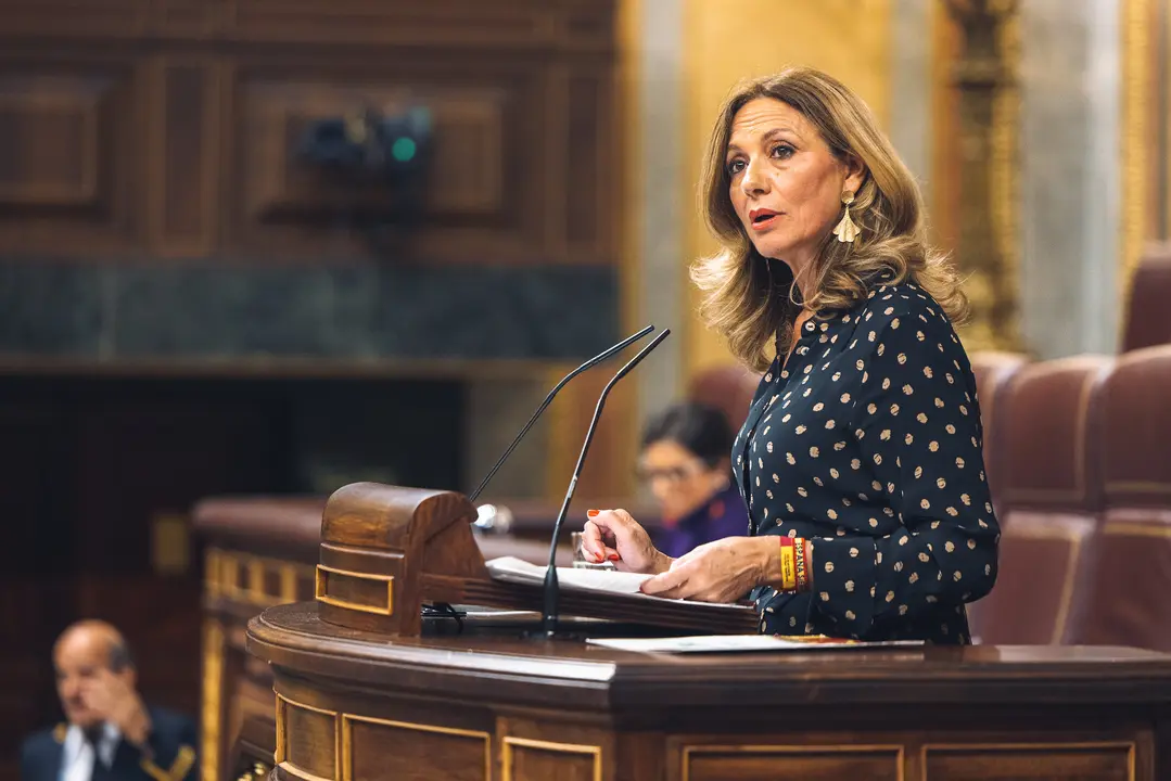 La diputada de Vox en el Congreso por Sevilla, Reyes Romero