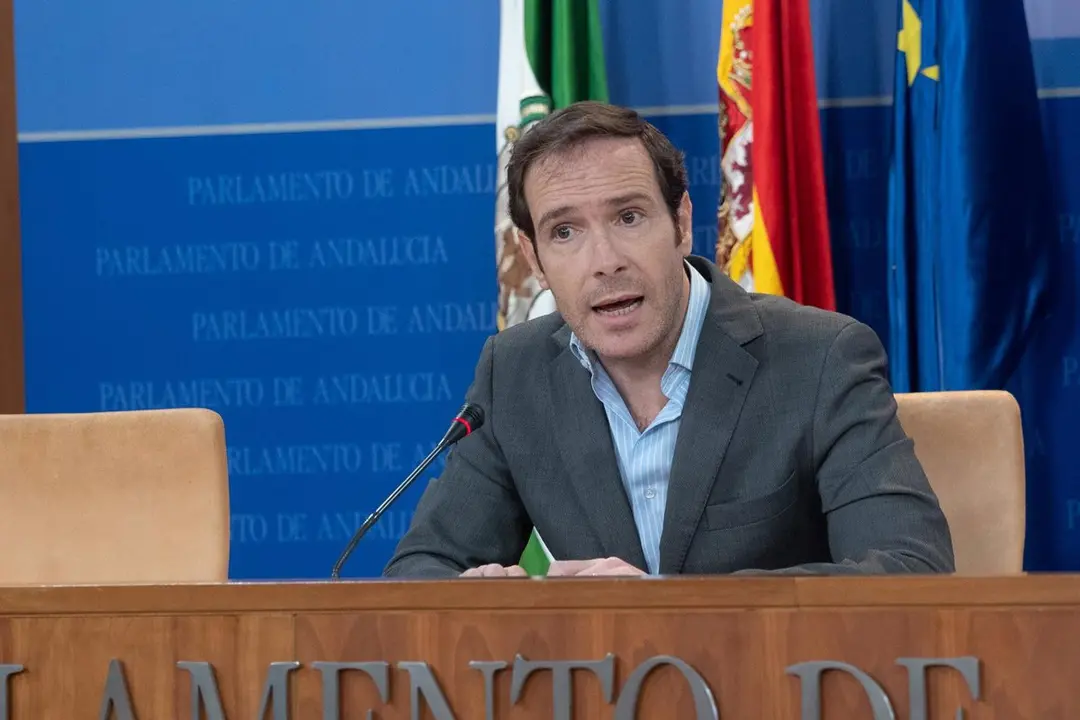 El diputado del Grupo Parlamentario VOX en el Parlamento de Andalucía, Javier Cortés