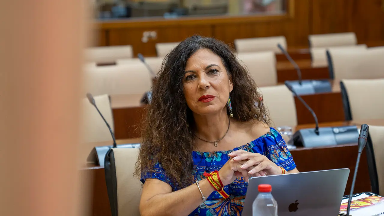 La diputada de Vox en el Parlamento de Andalucía, Ana Ruiz