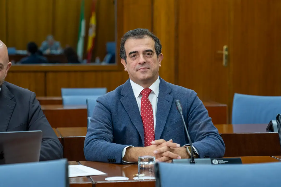 El parlamentario de Vox en Andalucía, Antonio Sevilla