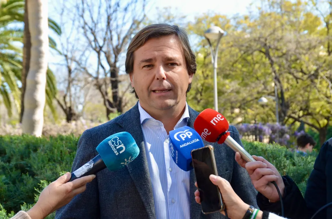 El secretario general del PP de Andalucía, Antonio Repull