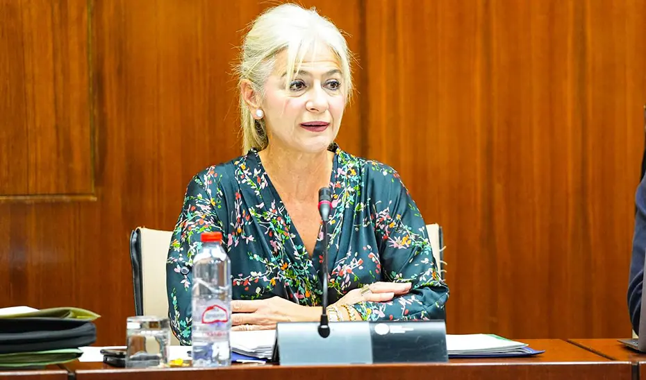 La consejera Patricia del Pozo