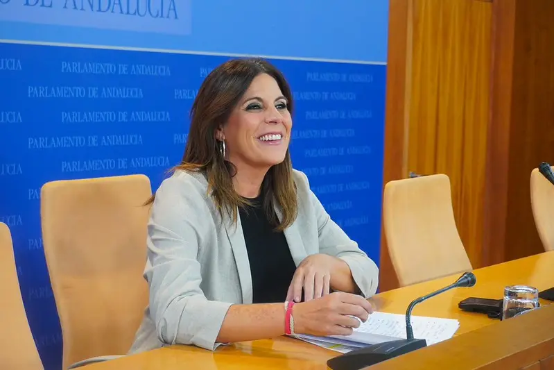La portavoz adjunta del Grupo Socialista Ángeles Férriz