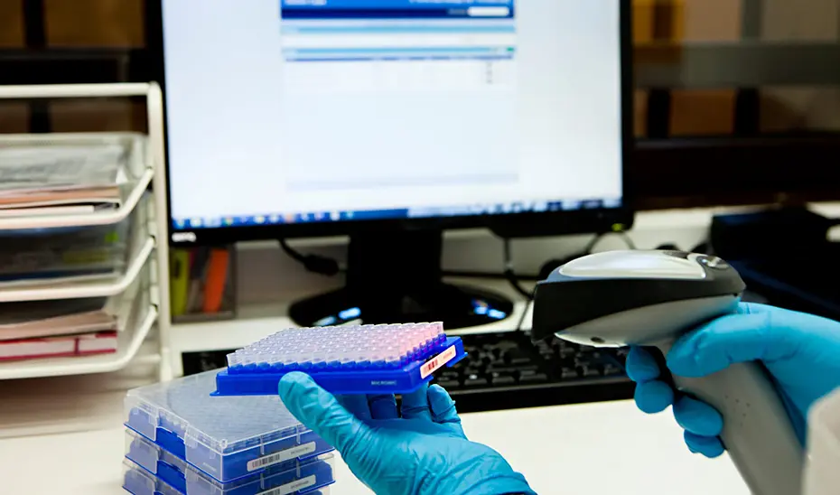 Investigaci&oacute;n