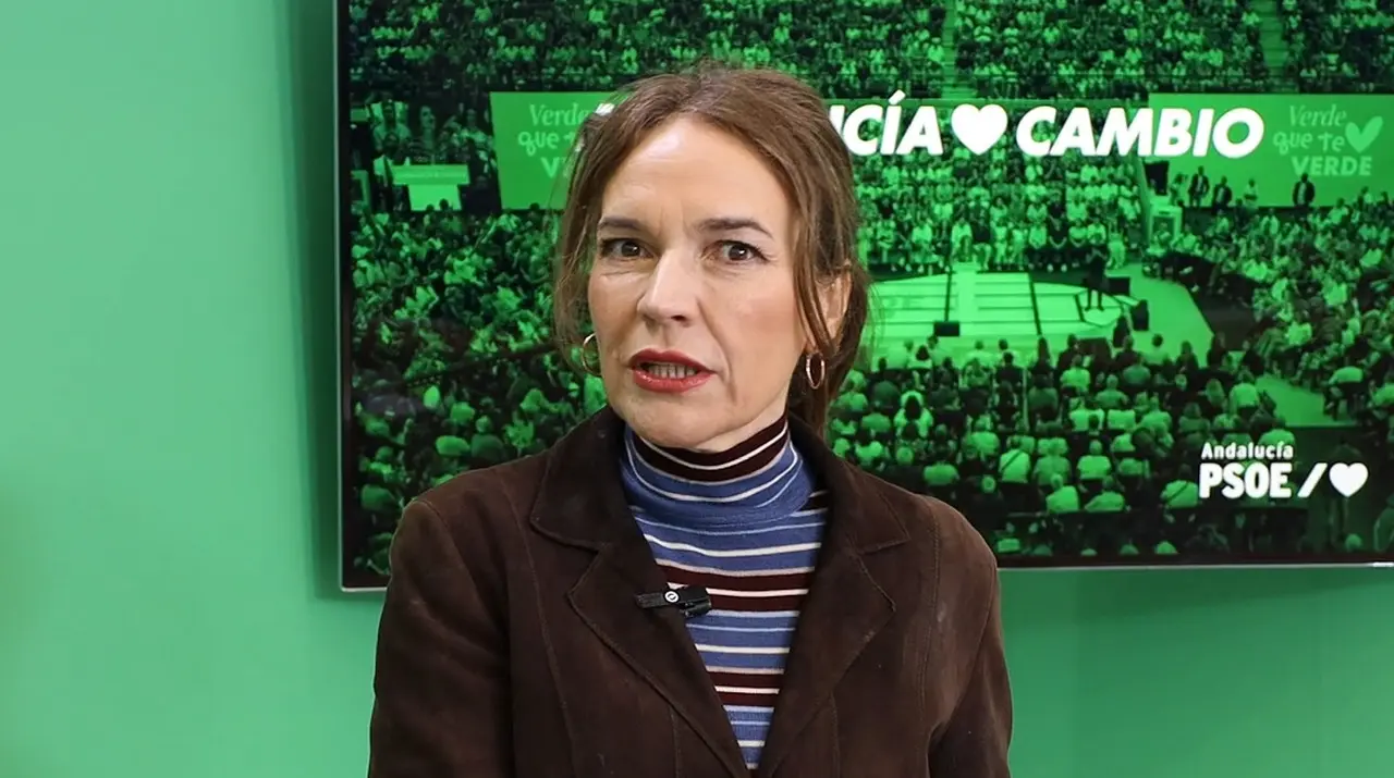 La europarlamentaria socialista, Lina G&aacute;lvez
