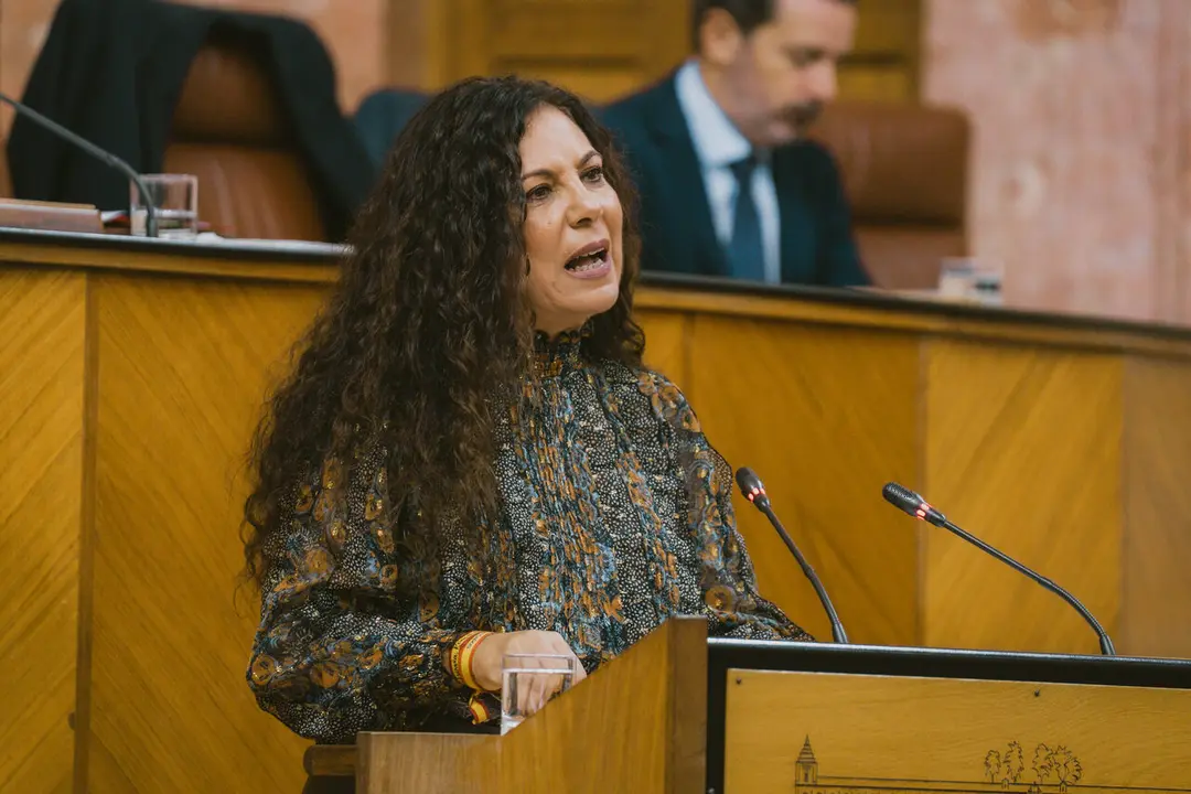 La diputada del Grupo Parlamentario Vox en el Parlamento de Andaluc&iacute;a, Ana Ruiz