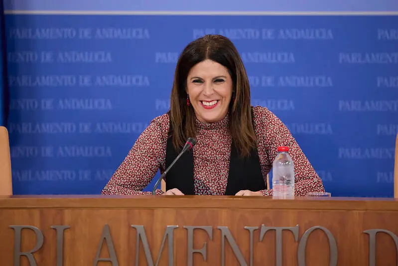 La portavoz adjunta del Grupo Socialista, &Aacute;ngeles F&eacute;rri