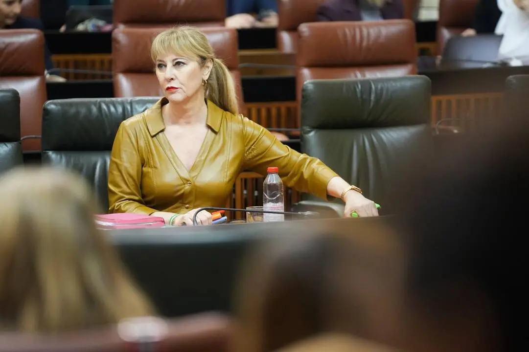 La consejera de Econom&iacute;a, Hacienda, Fondos Europeos y Di&aacute;logo Social, Carolina Espa&ntilde;a