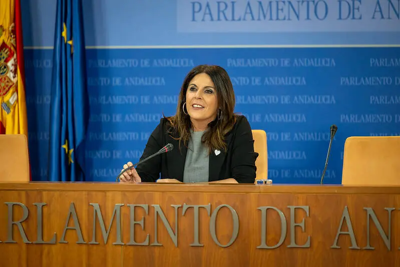 La portavoz adjunta del Grupo Socialista &Aacute;ngeles F&eacute;rriz 