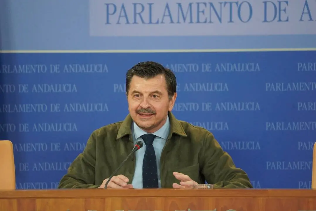 El portavoz del Grupo Popular en el Parlamento de Andaluc&iacute;a, Toni Mart&iacute;n