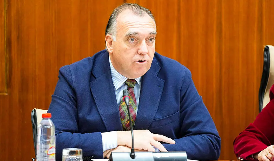 El consejero de Turismo y Andaluc&iacute;a Exterior, Arturo Bernal