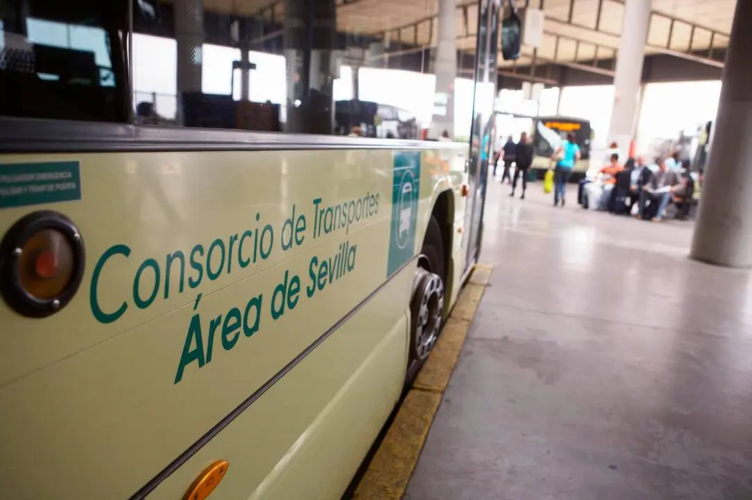 Consorcio Transportes