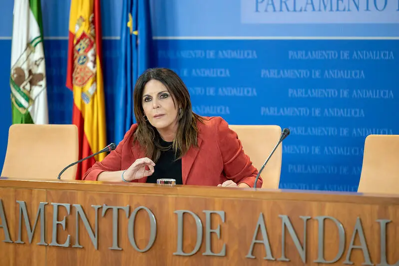 La portavoz adjunta del Grupo Socialista, &Aacute;ngeles F&eacute;rriz