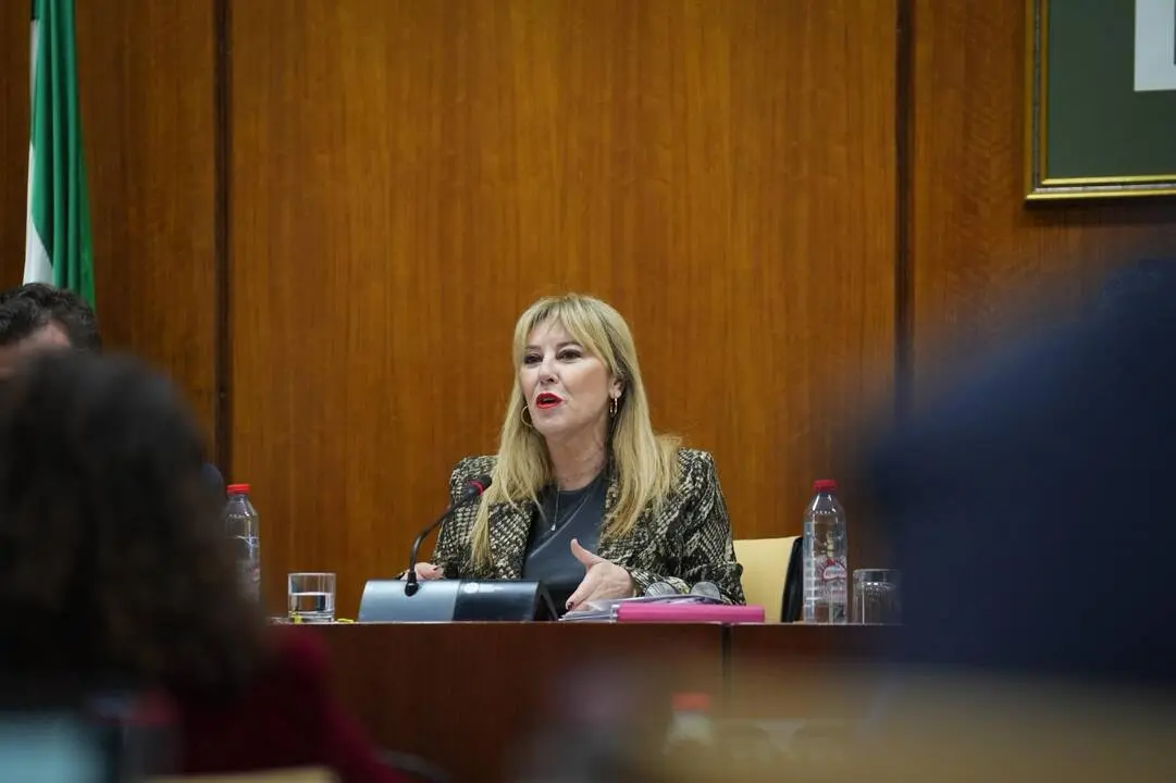 La consejera de Econom&iacute;a, Hacienda, Fondos Europeos y Di&aacute;logo Social, Carolina Espa&ntilde;a