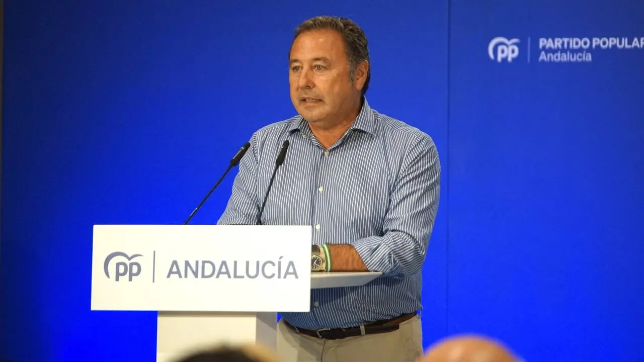El presidente del PP de Sevilla, Ricardo S&aacute;nchez
