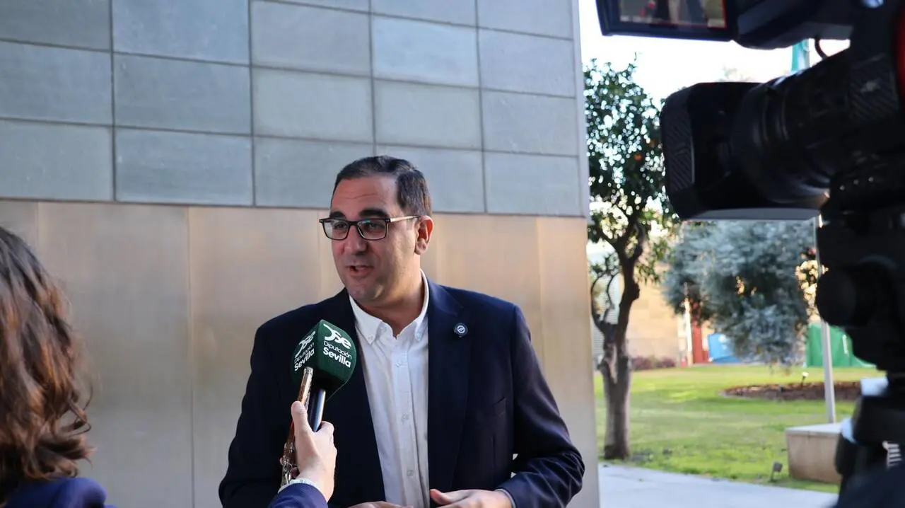 El portavoz del Grupo Popular en la Diputaci&oacute;n de Sevilla, Mart&iacute;n Torres