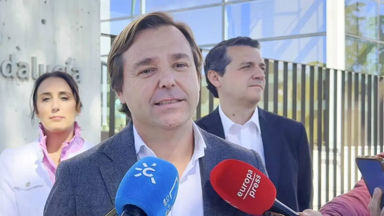 El coordinador de campa&ntilde;a del Partido Popular de Andaluc&iacute;a para las pr&oacute;ximas elecciones auton&oacute;micas, Antonio Repullo