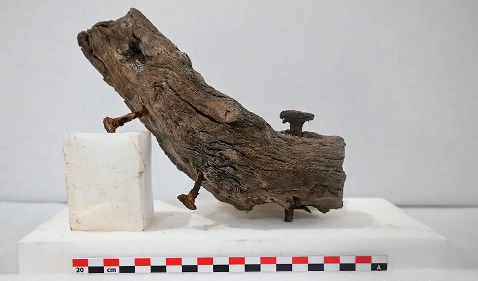 Imagen tomada por la investigadora Marta del Mastro Ochoa en 2026 de un fragmento de una cuaderna del pecio andalus&iacute; hallado en Plaza Nueva de Sevilla