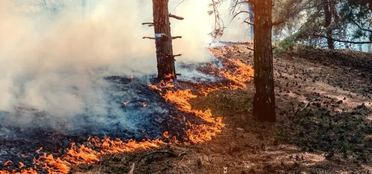 Incendio