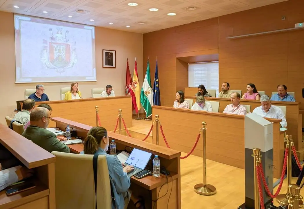 Pleno Osuna