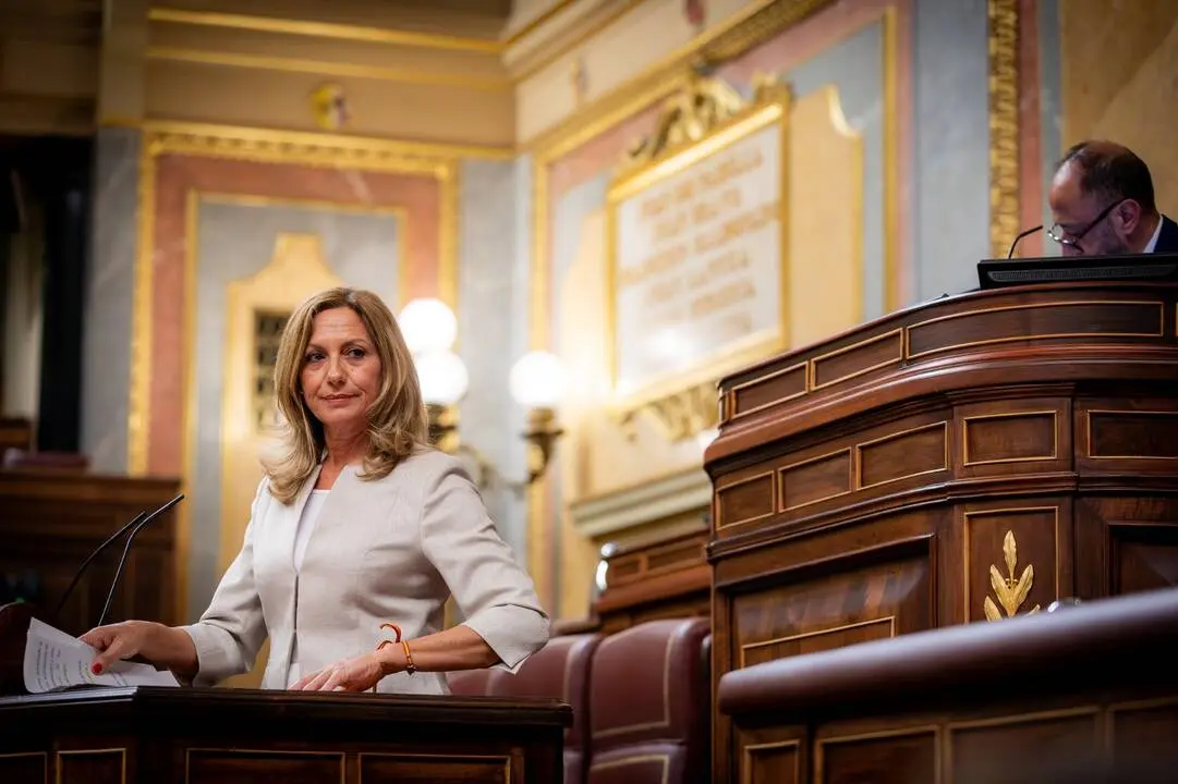 La diputada de Vox en el Congreso por Sevilla, Reyes Romero