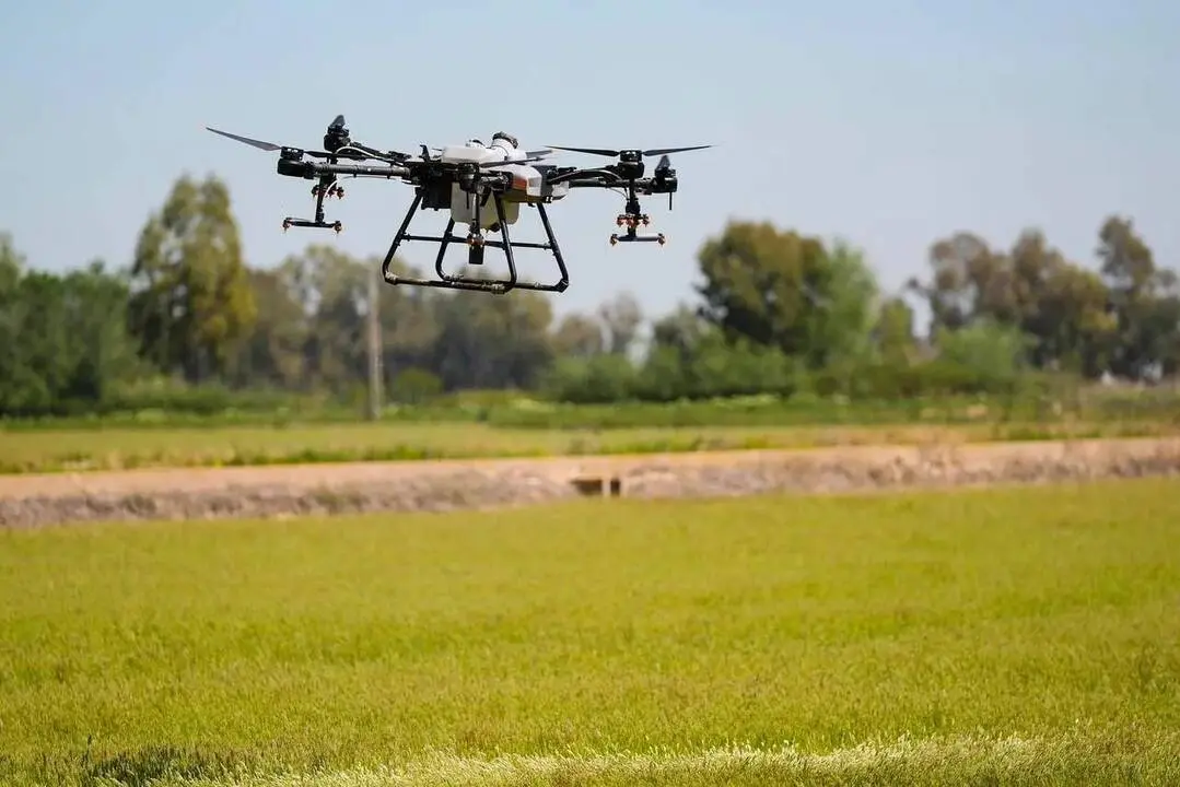 Dron