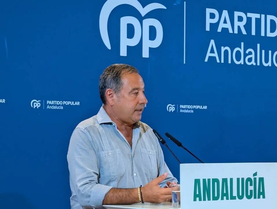 El presidente del Partido Popular de Sevilla, Ricardo S&aacute;nchez