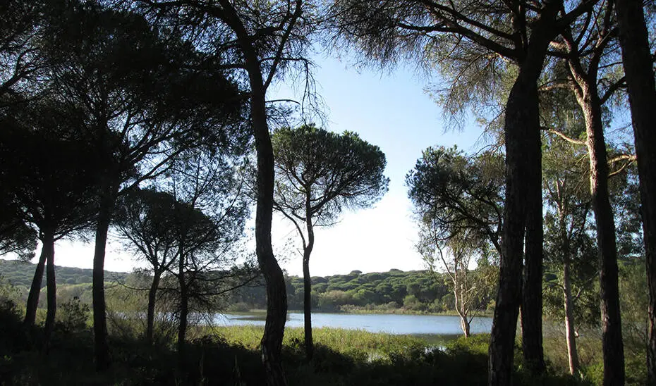 Dehesa