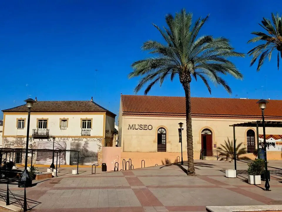 Museo de Alcal&aacute;