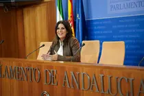 La portavoz adjunta del Grupo Parlamentario Socialista &Aacute;ngeles F&eacute;rriz