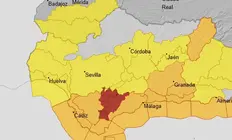 Captura de pantalla 2026-02-03 21074