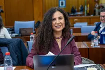 La diputada auton&oacute;mica de VOX, Ana Ruiz