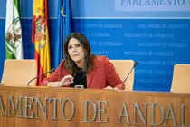 La portavoz adjunta del Grupo Socialista, &Aacute;ngeles F&eacute;rriz