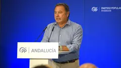 El presidente del PP de Sevilla, Ricardo S&aacute;nchez