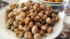Caracoles