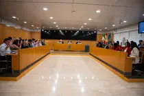 Pleno Diputaci&oacute;n