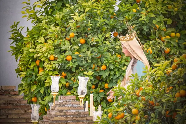 Horario e Itinerario Salida procesional de la Virgen de la Milagrosa. Marchena 08 de Diciembre del 2025